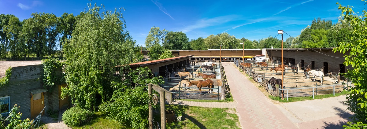 Boxen mit Paddock und beheizbare Tränken