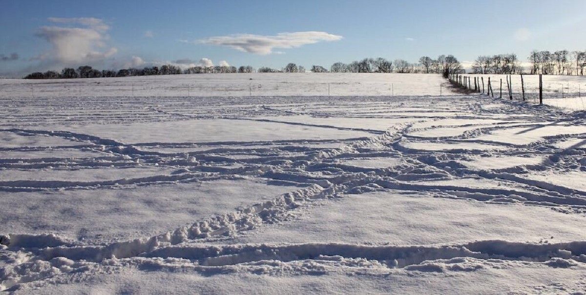 Wege im Schnee